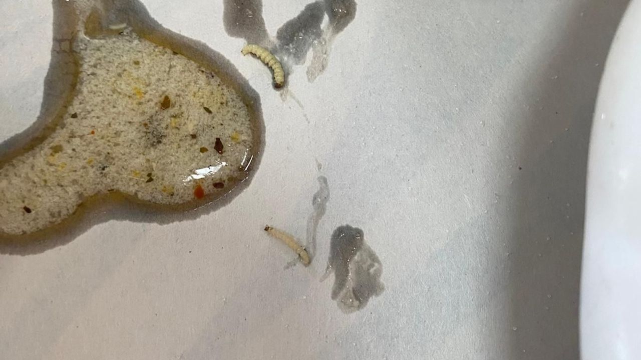 Sağlık Çalışanlarının Yemeğinden Solucan ve Kurtçuk Çıktı!