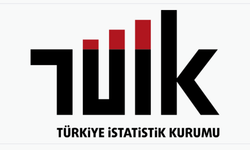 TÜİK 2024 İlk Yarı İşsizlik Verilerini Açıkladı