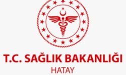 Sağlık Müdürünün Ardından Destek Hizmetleri Başkanı da İstifa Etti