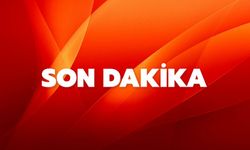 Yenidoğan Çetesi"nin Örgütsel Şeması  Ortaya Çıktı