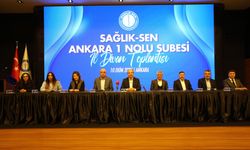 Genel Başkan Doğan Sağlık Sen Ankara 1 Nolu Şubenin İl Divan Toplantısında Açıklamada Bulundu