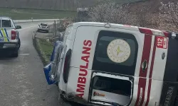 Hasta taşıyan ambulans kaza yaptı