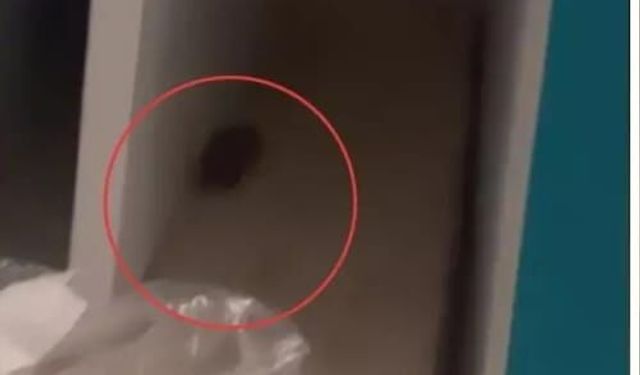 Skandal görüntüler! Hastanede fare görüldü iddiası